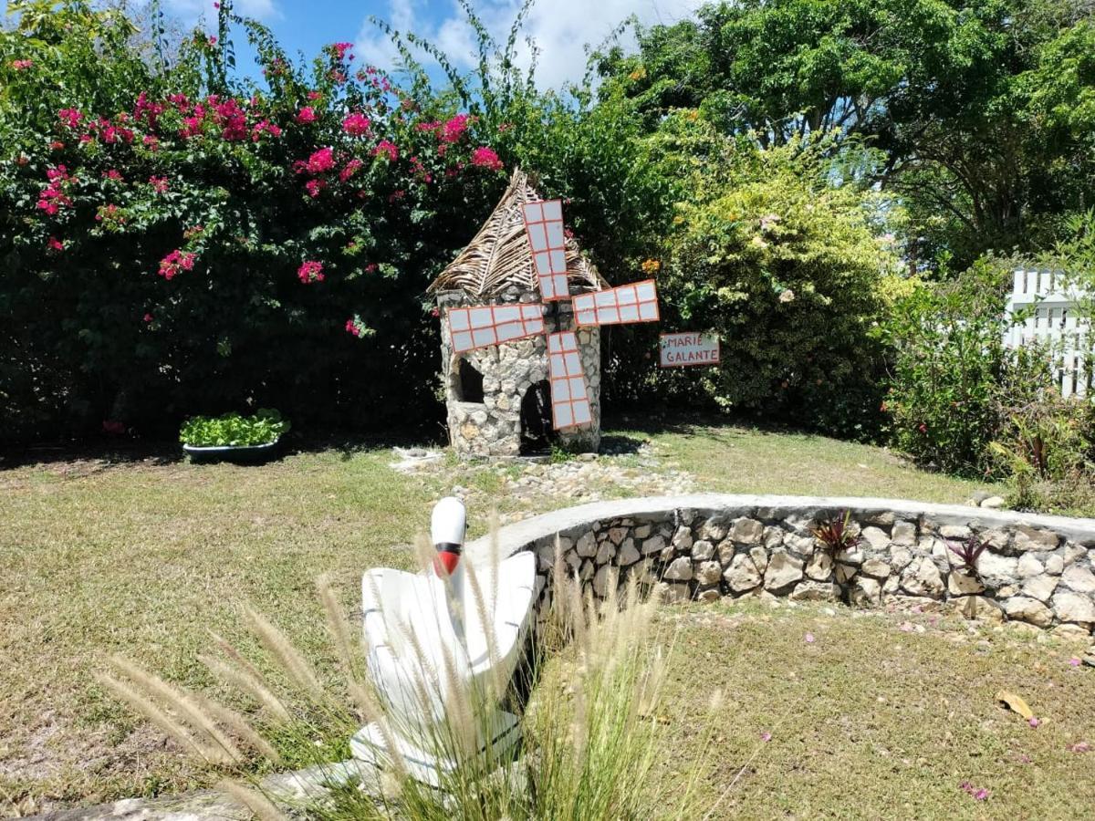La Melodie Des Oiseaux Grand-Bourg  Εξωτερικό φωτογραφία